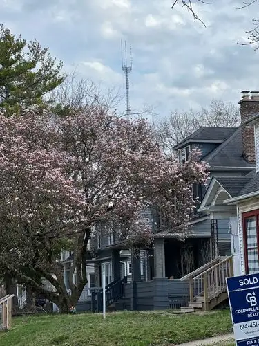 Spring's beauty blooms amidst a quiet neighborhood scene.